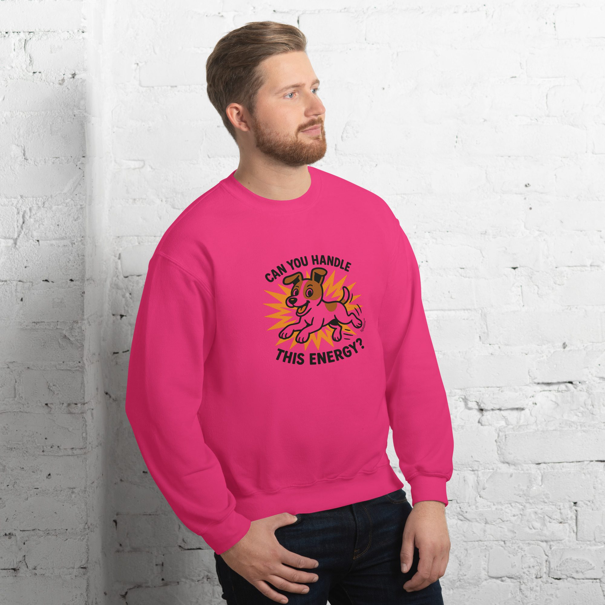Unisex Sweatshirt – “Can You Handle This Energy?” - Image 3