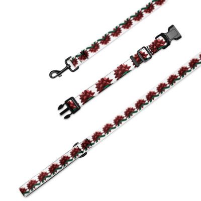 Crimson Gift Bow — Pet Collar and Leash Set